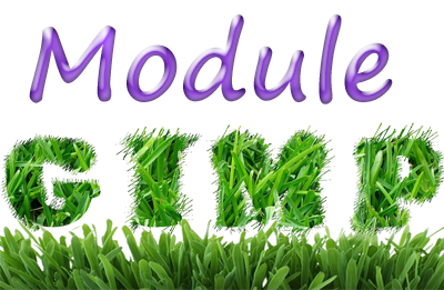 Texte module Gimp