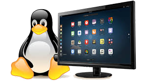 Pingouin 04