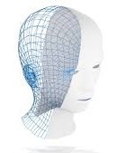 Tête filaire en 3D
